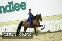24R13_06230 thumbnail