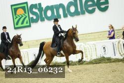 24R13_06232 thumbnail