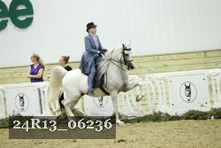 24R13_06236 thumbnail