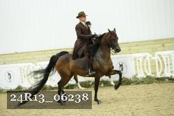24R13_06238 thumbnail