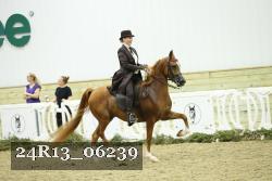 24R13_06239 thumbnail