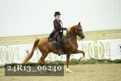 24R13_06240 thumbnail