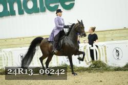 24R13_06242 thumbnail