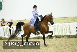 24R13_06246 thumbnail
