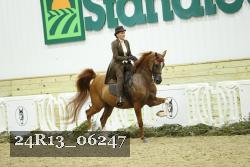 24R13_06247 thumbnail