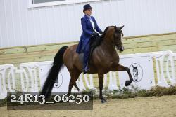 24R13_06250 thumbnail