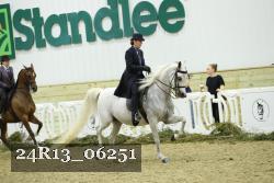 24R13_06251 thumbnail
