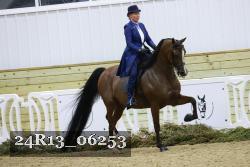 24R13_06253 thumbnail