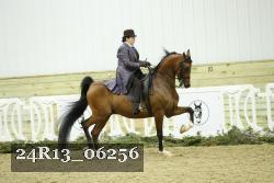24R13_06256 thumbnail