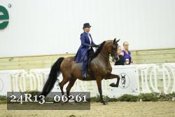 24R13_06261 thumbnail
