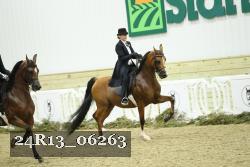 24R13_06263 thumbnail