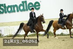 24R13_06264 thumbnail