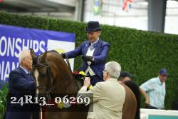 24R13_06269 thumbnail