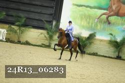 24R13_06283 thumbnail
