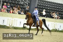 24R13_06285 thumbnail