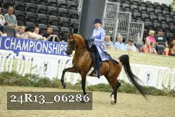 24R13_06286 thumbnail