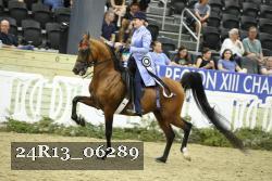 24R13_06289 thumbnail