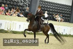 24R13_06290 thumbnail