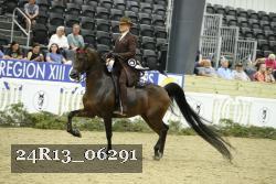 24R13_06291 thumbnail