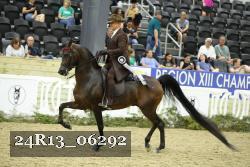 24R13_06292 thumbnail