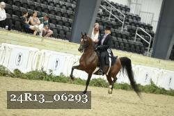 24R13_06293 thumbnail