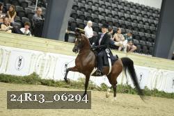 24R13_06294 thumbnail