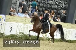 24R13_06296 thumbnail