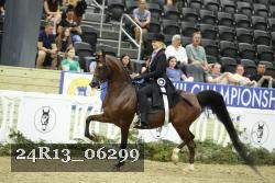 24R13_06299 thumbnail
