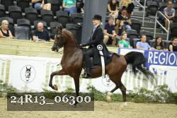 24R13_06300 thumbnail