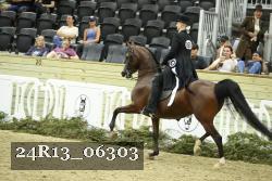 24R13_06303 thumbnail