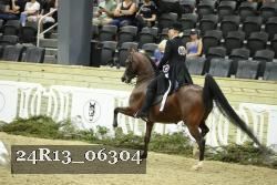 24R13_06304 thumbnail