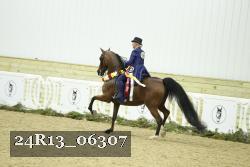 24R13_06307 thumbnail
