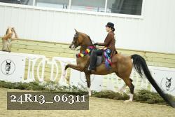 24R13_06311 thumbnail