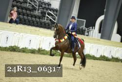 24R13_06317 thumbnail