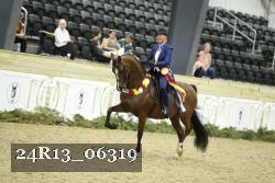 24R13_06319 thumbnail