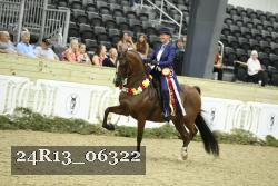 24R13_06322 thumbnail