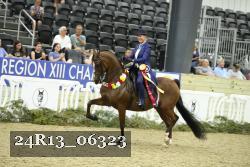 24R13_06323 thumbnail
