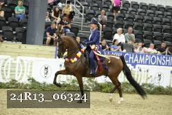 24R13_06324 thumbnail
