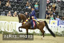 24R13_06325 thumbnail