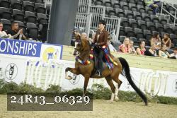 24R13_06329 thumbnail