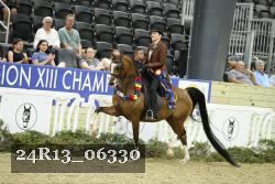 24R13_06330 thumbnail