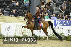 24R13_06333 thumbnail