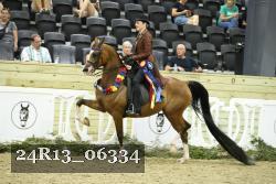 24R13_06334 thumbnail