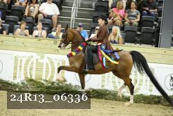 24R13_06336 thumbnail