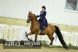 24R13_06360 thumbnail