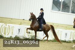 24R13_06364 thumbnail