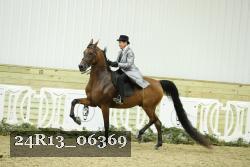 24R13_06369 thumbnail