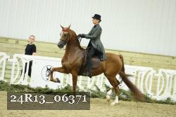 24R13_06371 thumbnail