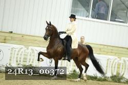 24R13_06372 thumbnail