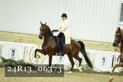 24R13_06373 thumbnail